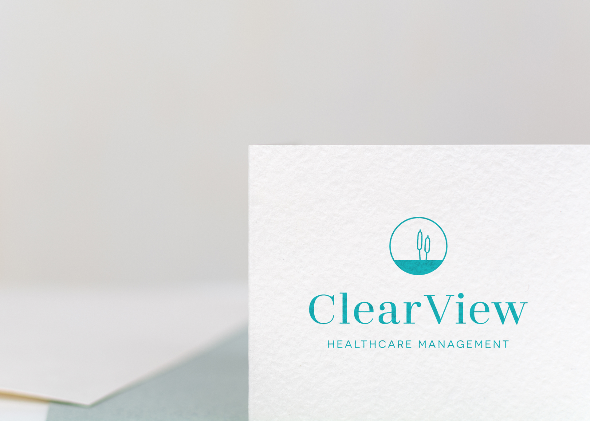 Clearview_logo_1