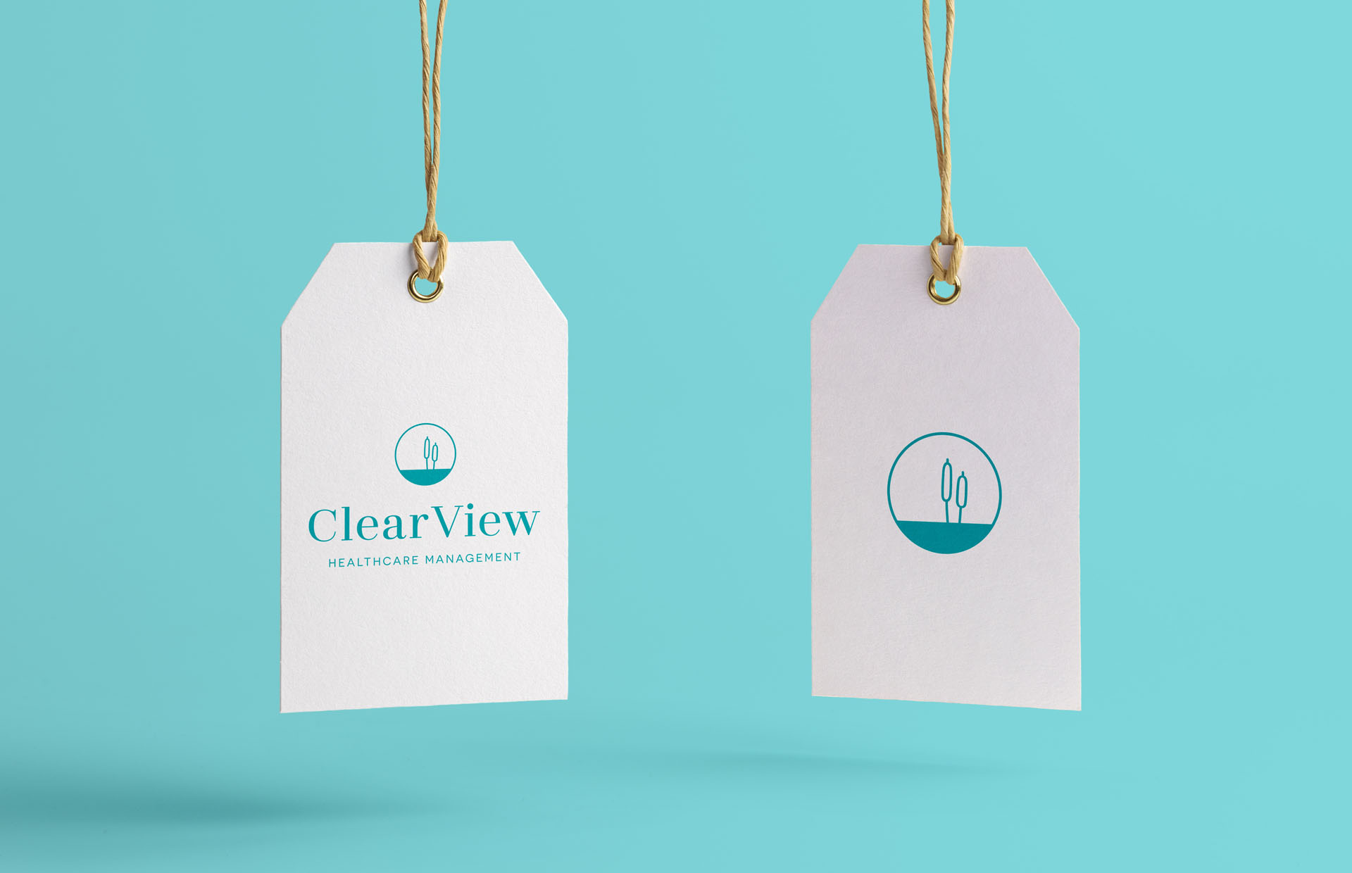 clearview healthcare