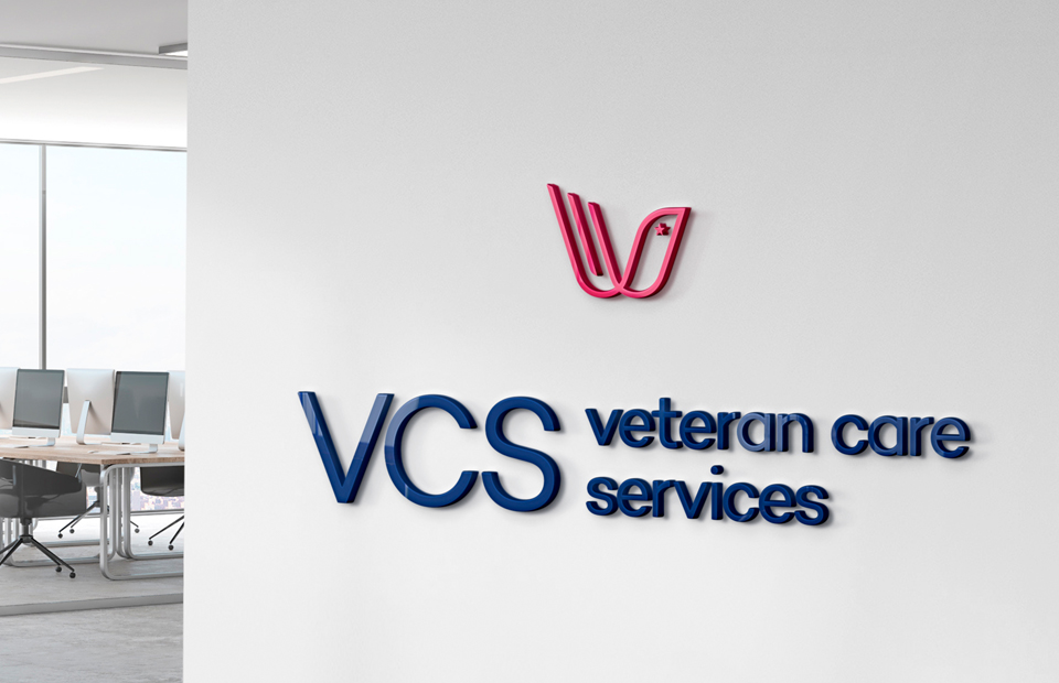 VCS_web logo2